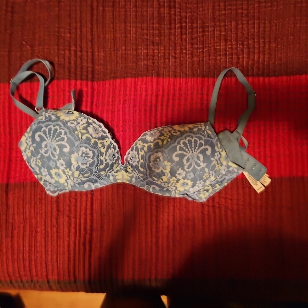 Lace Blue Floral Bra